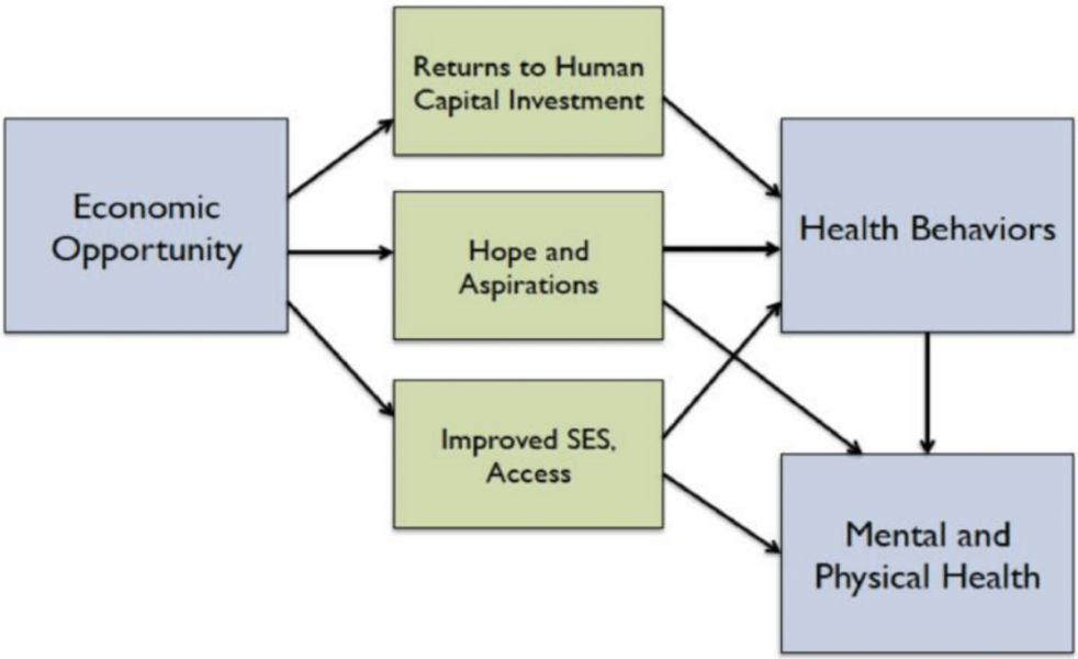 Social Mobility Opportunity for Health