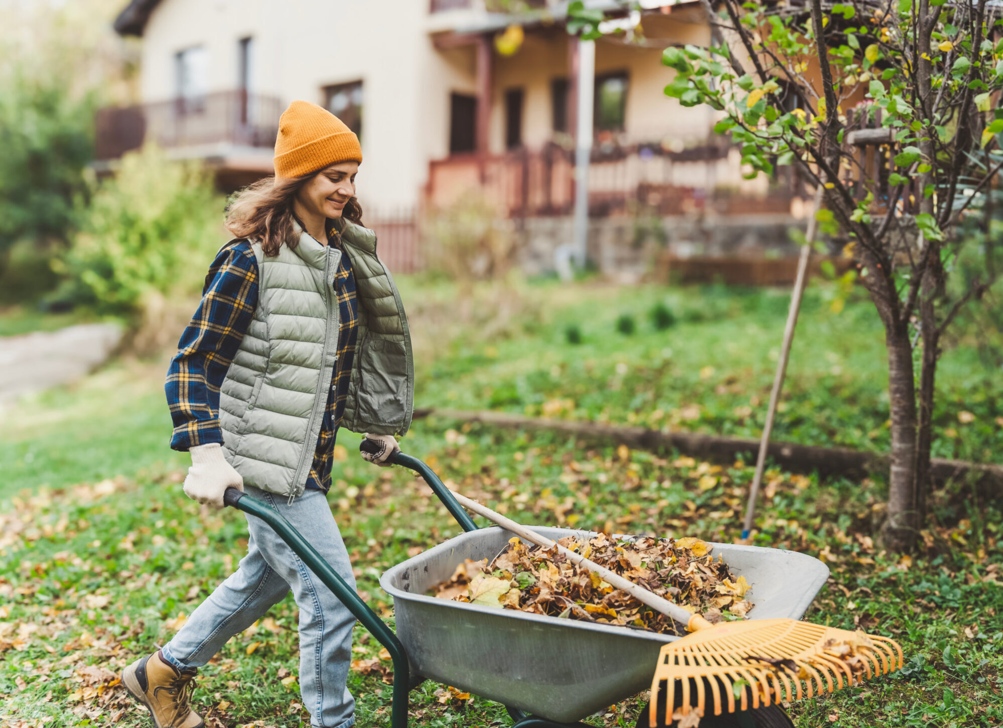 Young happy woman collecting autumn leaves in the backyard of a country house using a rake and cart